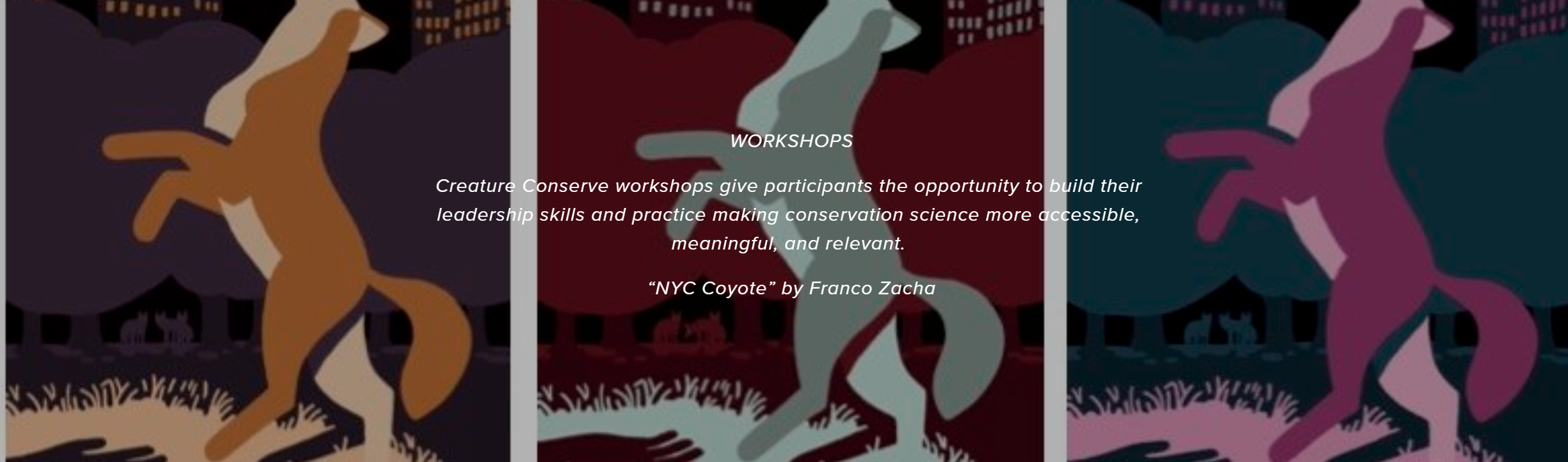 Creature Conserve Workshops