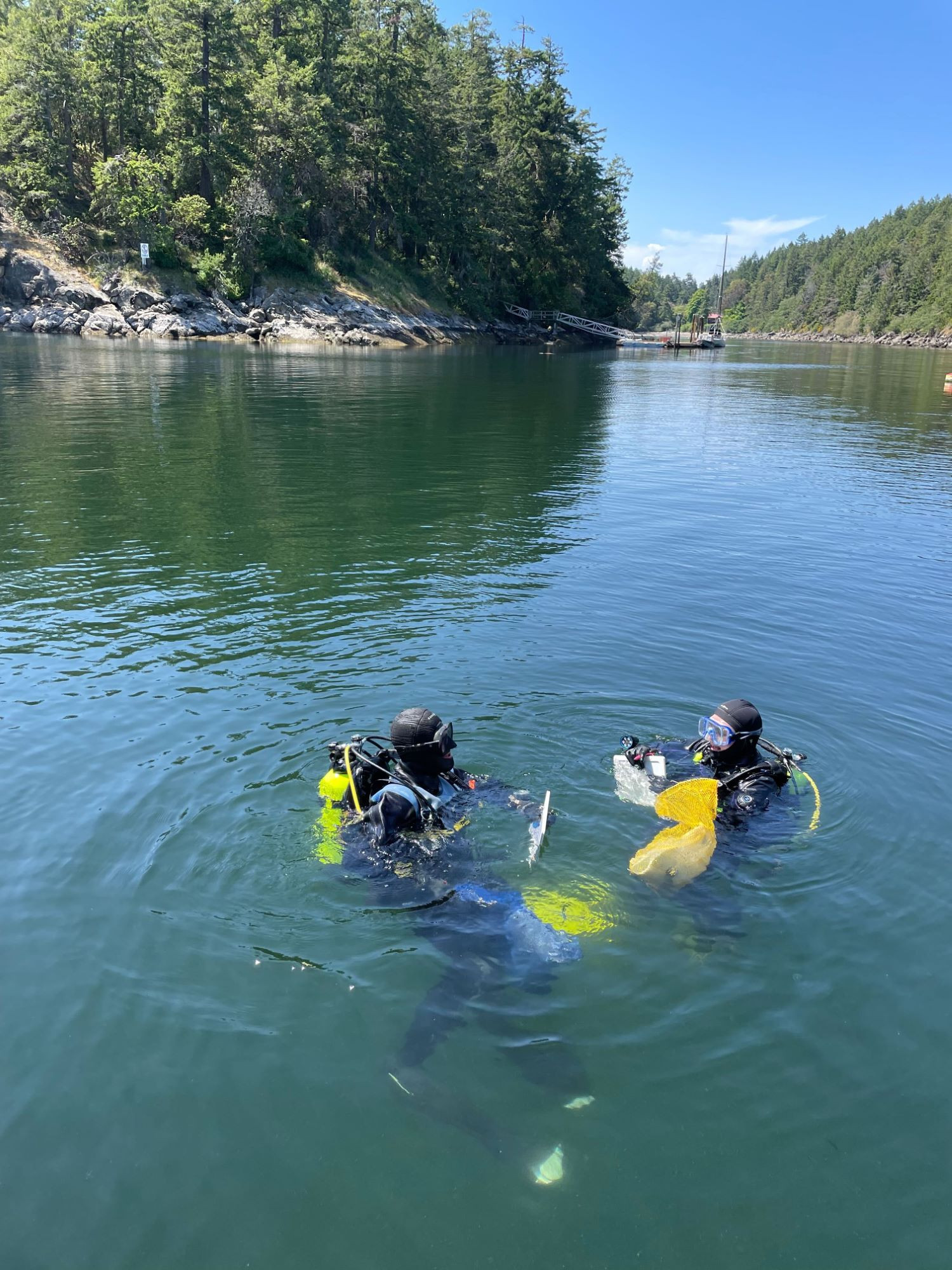 Galiano BioBlitz is a Hit! Exploring the Amazing Biodiversity of Galiano Island, BC, Canada