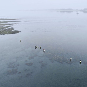 A team conducting field surveys at a site in Coos Bay, Oregon, in 2021.