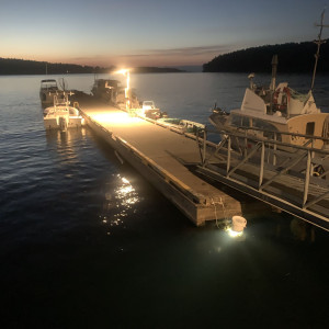 Mayne Island at night