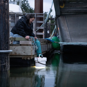 Jeannine Georgeson checking a light trap, Whaler Bay, Galiano Island